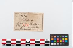 Etikett zu Bronzephalere (NHMW-PRAE-024552)